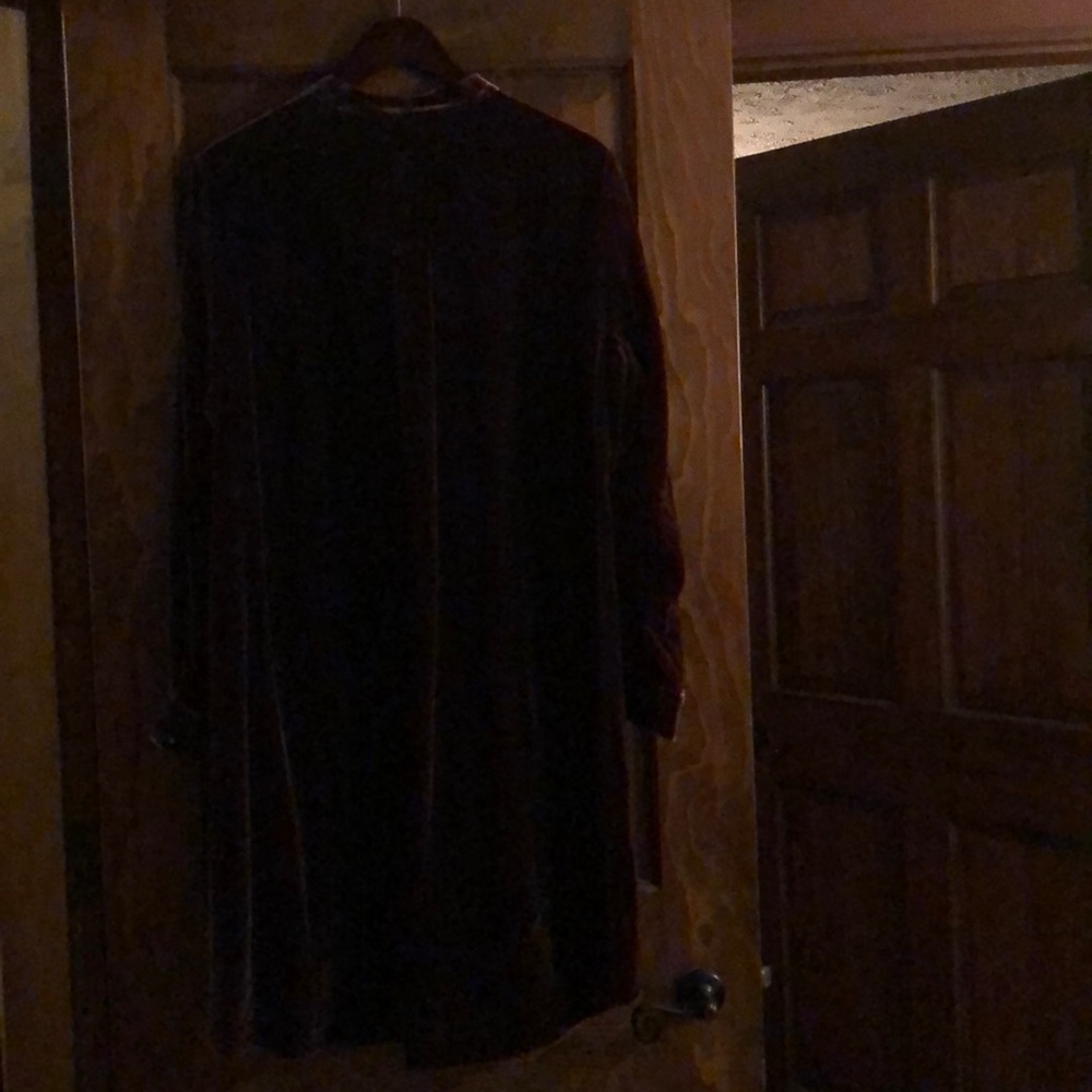 ❌SOLD❌NWT EILEEN FISHER Cassis Silk Velvet Shirt Dress Size L - Picture 16 of 16